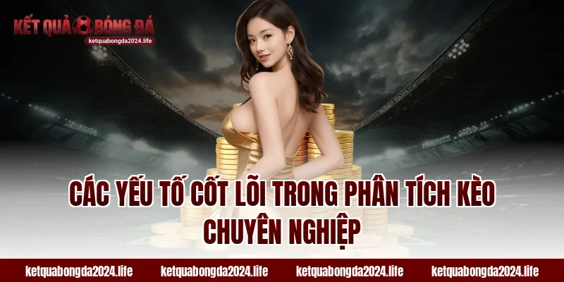 Các yếu tố cốt lõi trong phân tích kèo chuyên nghiệp