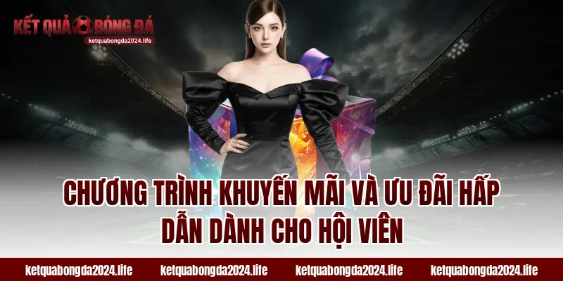 Chương trình khuyến mãi và ưu đãi hấp dẫn dành cho hội viên