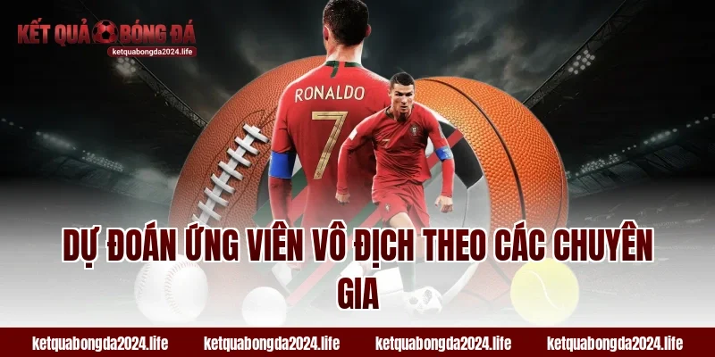 Dự đoán ứng viên vô địch theo các chuyên gia