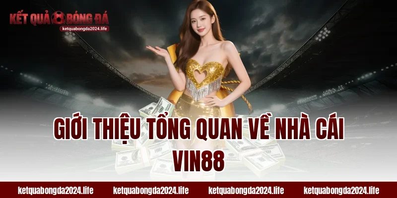 Giới thiệu tổng quan về nhà cái Vin88