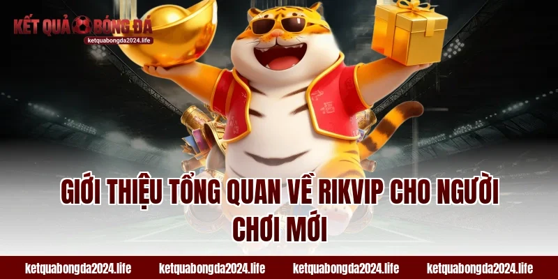 Giới thiệu tổng quan về RIKVIP cho người chơi mới
