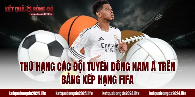 Thứ hạng các đội tuyển Đông Nam Á trên bảng xếp hạng FIFA